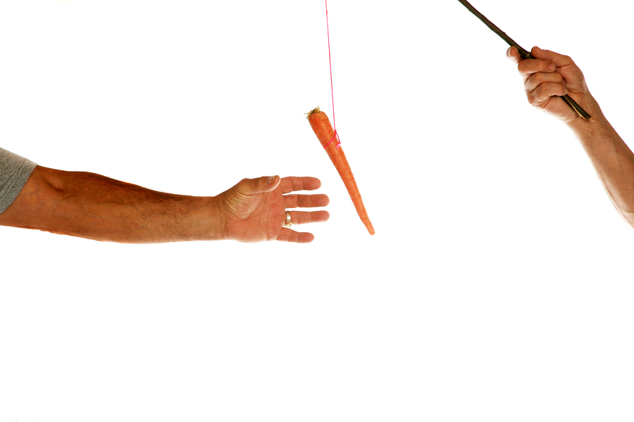 The classic business metaphor of "carrot on a stick" isolated on white with room for your text